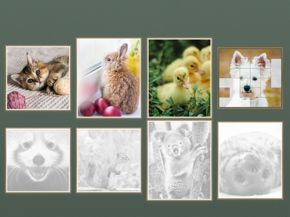 An animal collection featuring a kitten, a rabbit and ducklings, with more pictures waiting to be completed.