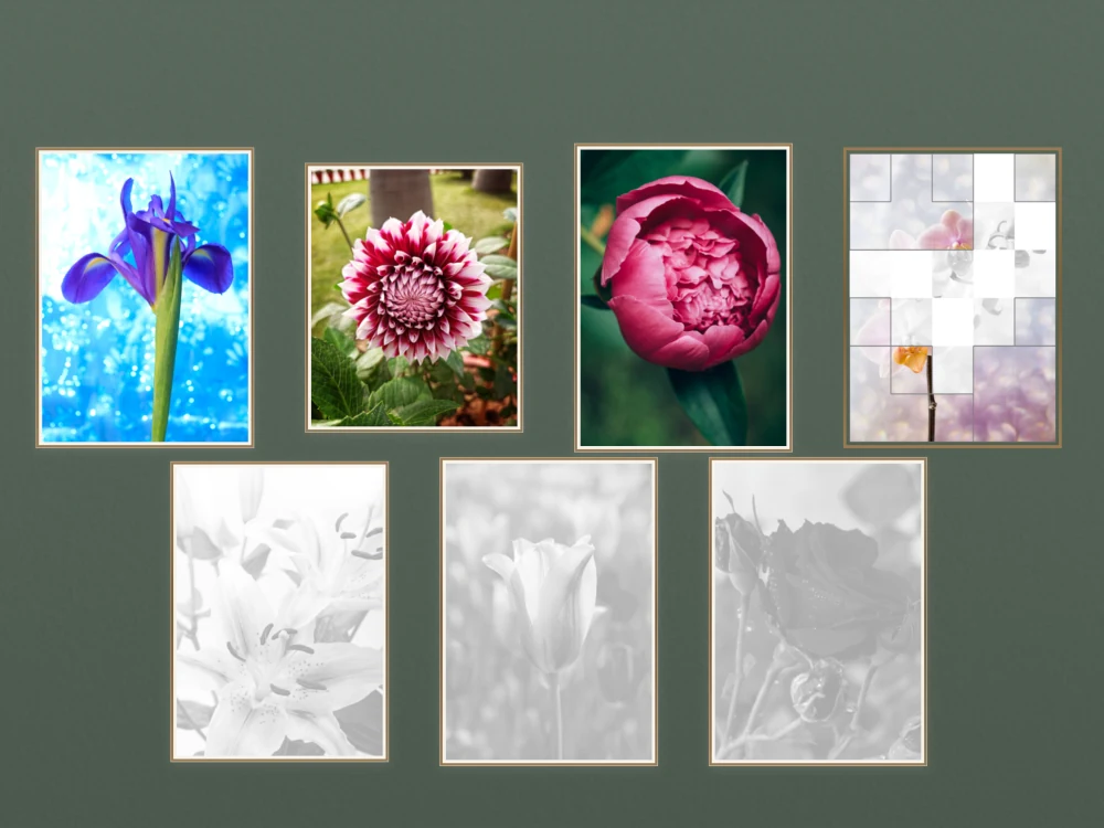 A flower collection with an iris, a dahlia and a pink peony among its picture puzzles.
